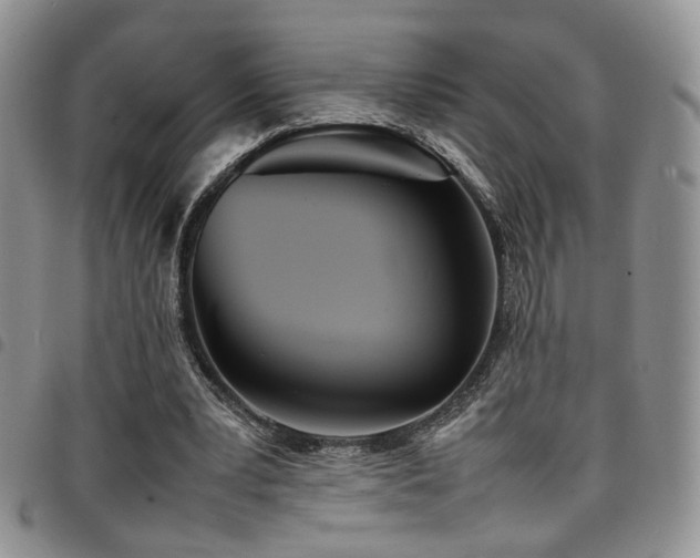 X0000098220391200804241349