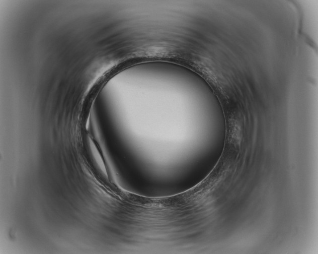 X0000098220392200804241349