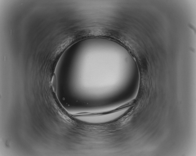 X0000098220393200804241349