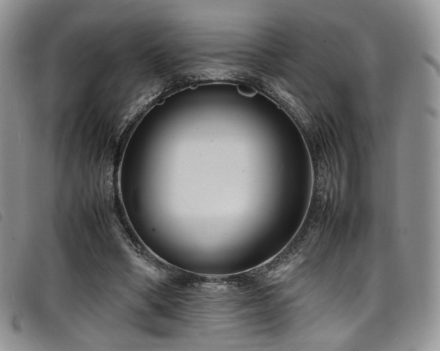 X0000098220394200804241349