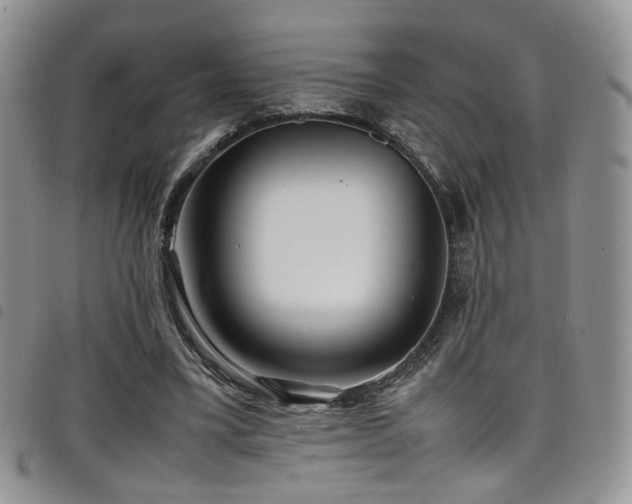 X0000098220395200804241349