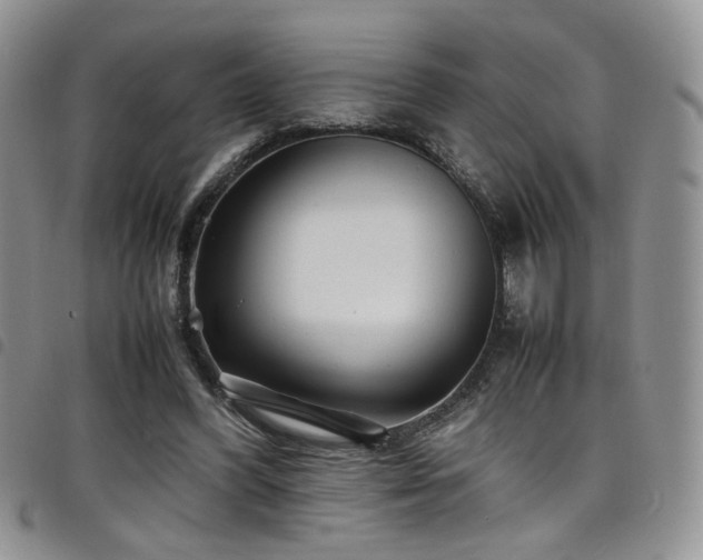 X0000098220396200804241349
