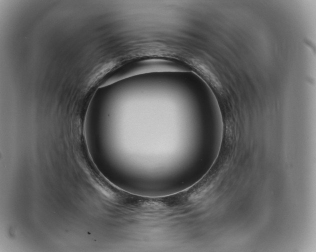 X0000098220397200804241349