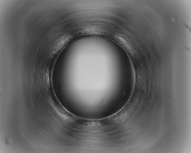 X0000098220398200804241349