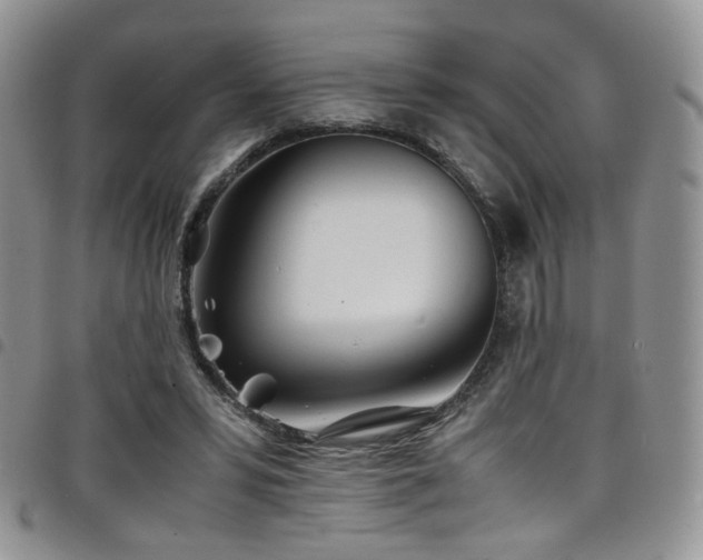 X0000098220399200804241349