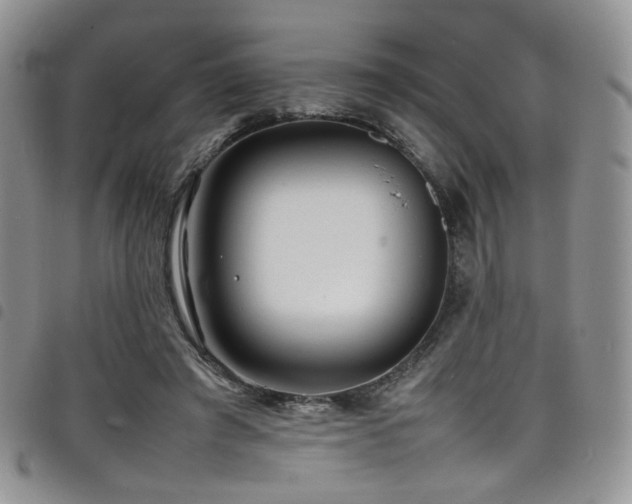 X0000098220401200804241349
