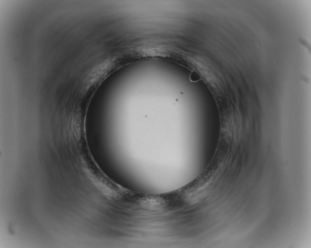 X0000098220402200804241348