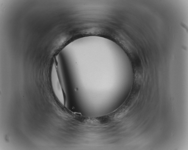 X0000098220403200804241348