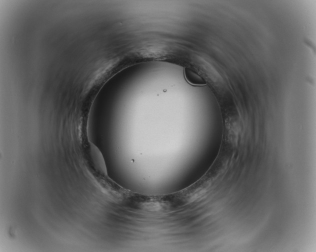 X0000098220404200804241348