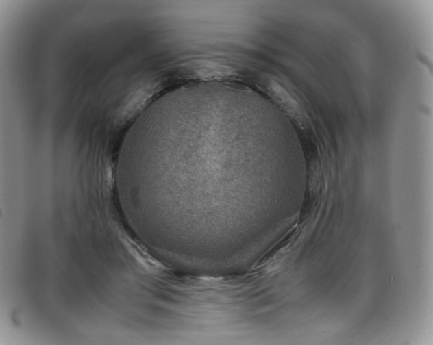 X0000098220405200804241348