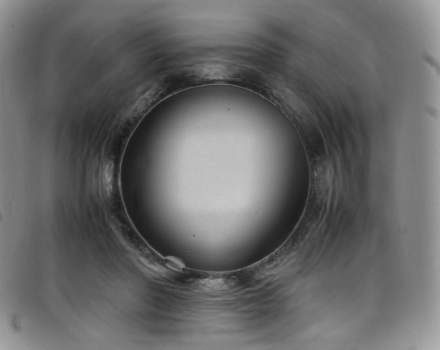 X0000098220406200804241348