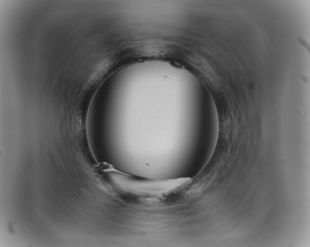 X0000098220407200804241348
