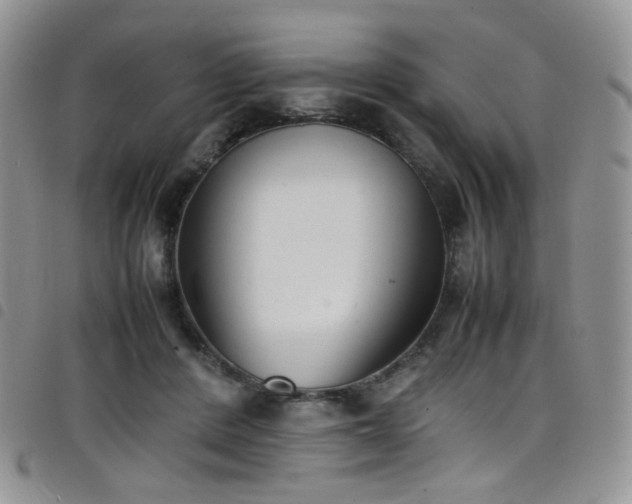 X0000098220408200804241348