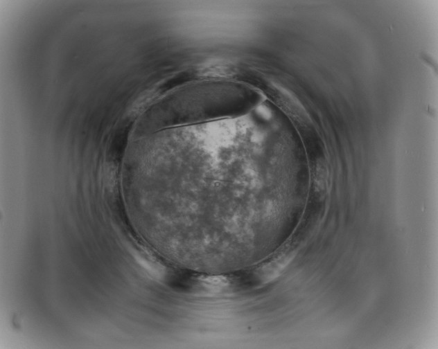 X0000098220409200804241348