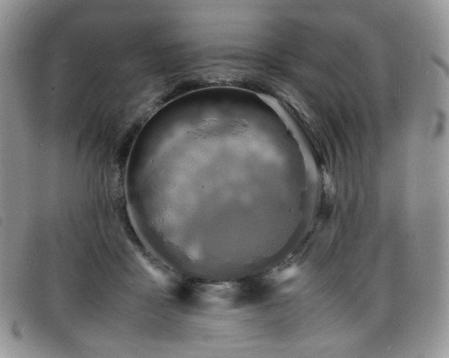 X0000098220411200804241348
