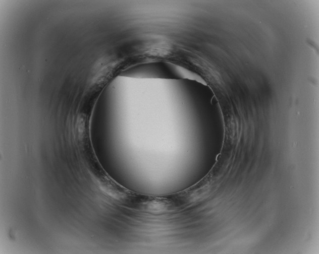 X0000098220412200804241348