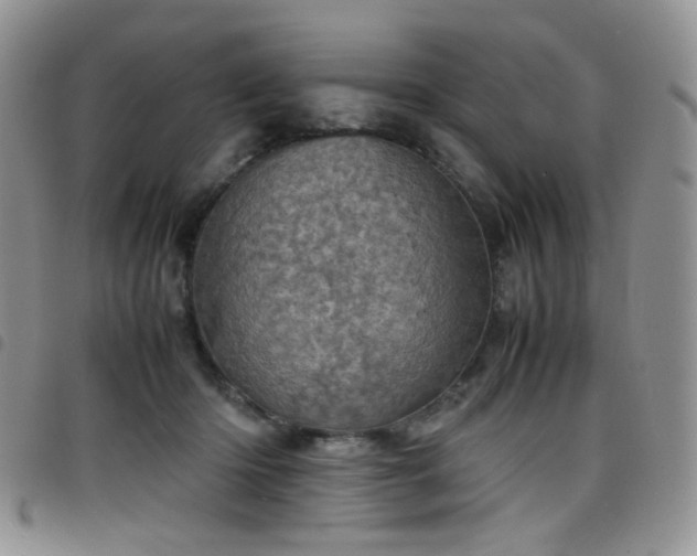 X0000098220414200804241348