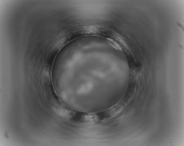 X0000098220415200804241348