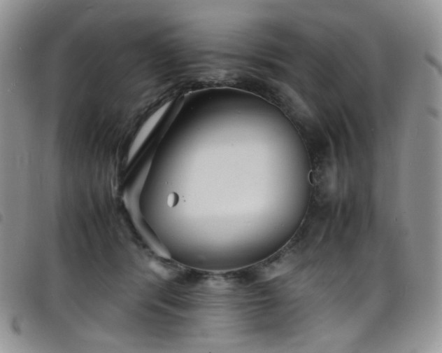 X0000098220416200804241348