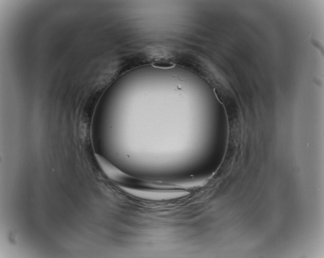 X0000098220417200804241348