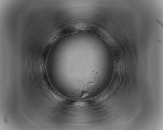 X0000098220418200804241348