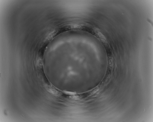 X0000098220419200804241348
