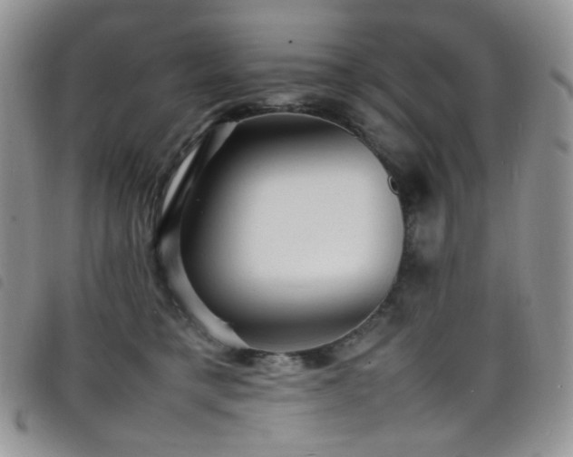X0000098220421200804241348