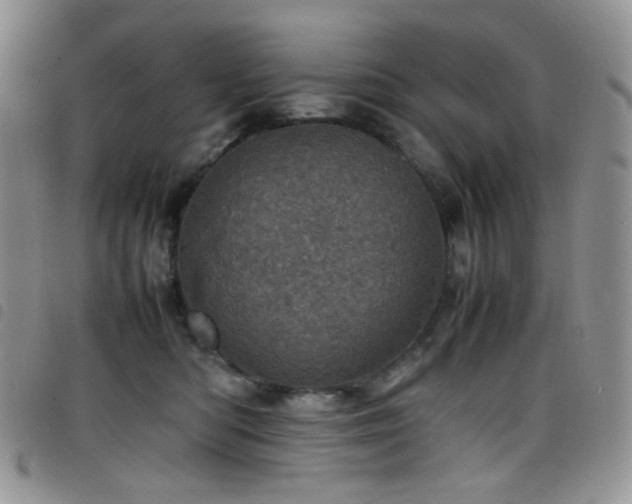 X0000098220422200804241348