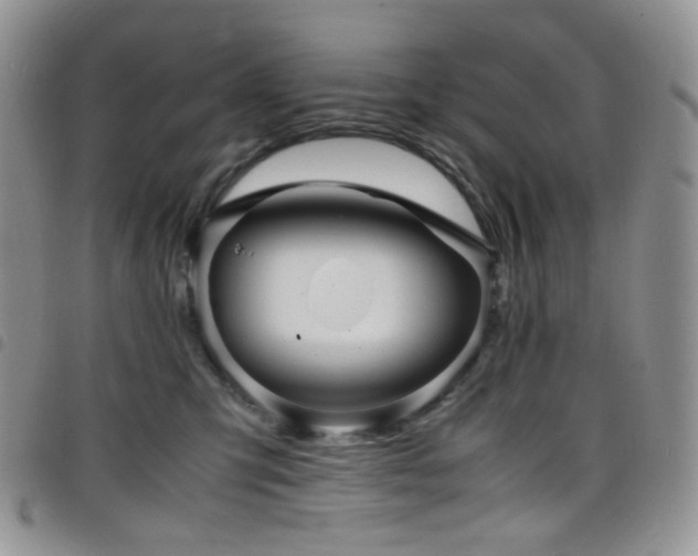 X0000098220423200804241348