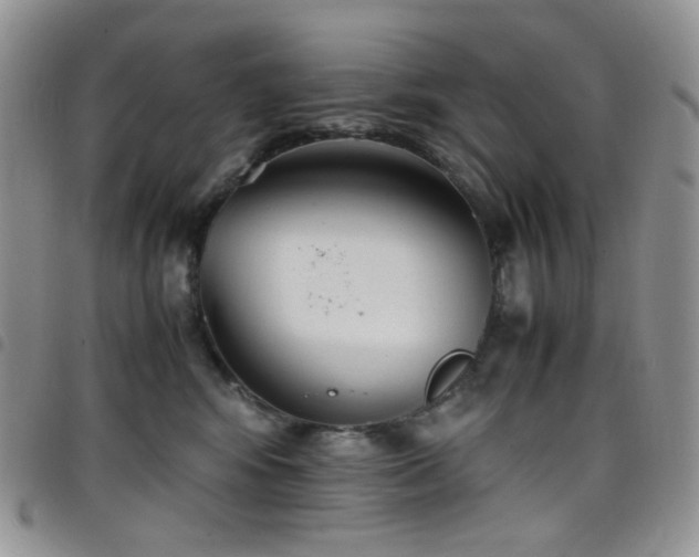 X0000098220424200804241348