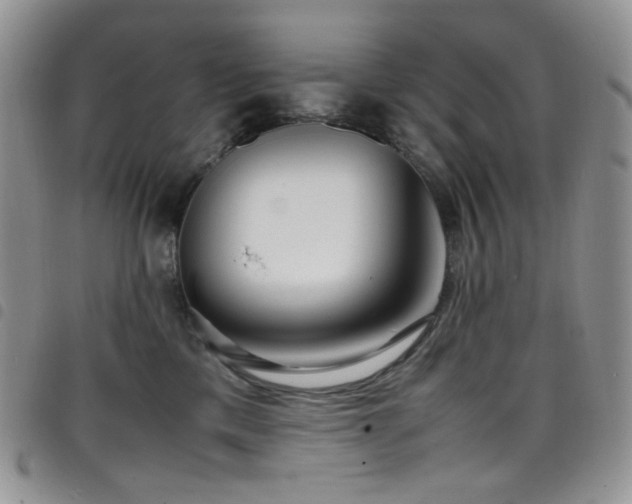 X0000098220425200804241348