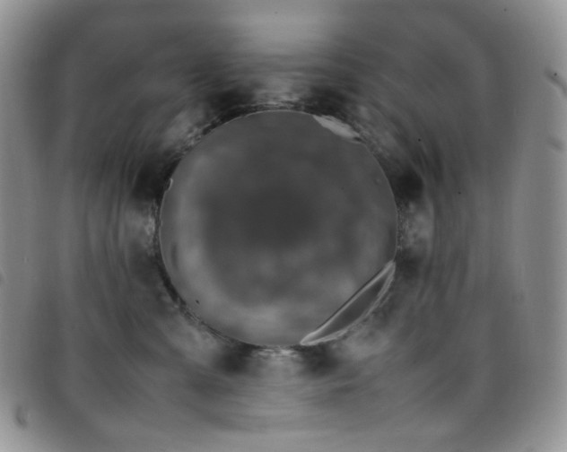 X0000098220427200804241348