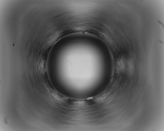 X0000098220428200804241348