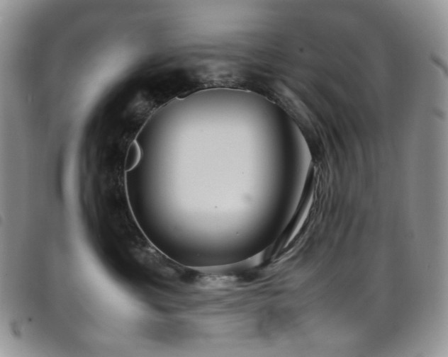 X0000098220429200804241348