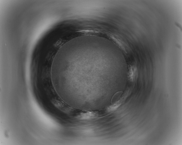 X0000098220430200804241348