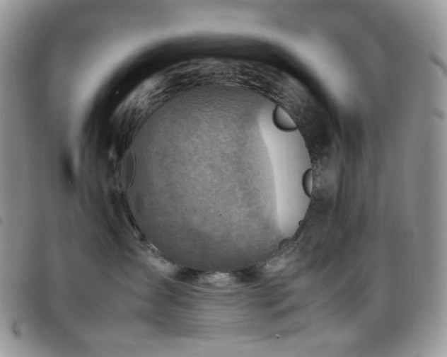 X0000098220431200804241348