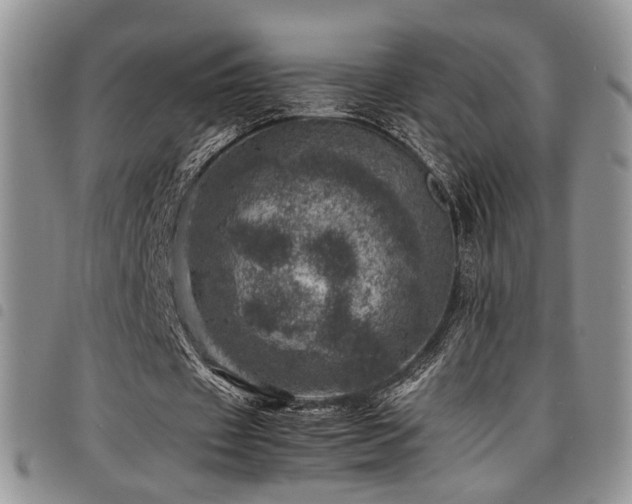 X0000098220433200804241347