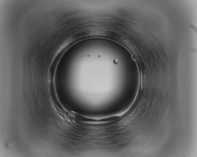 X0000098220435200804241347