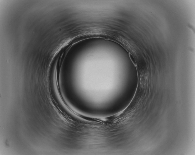 X0000098220436200804241347