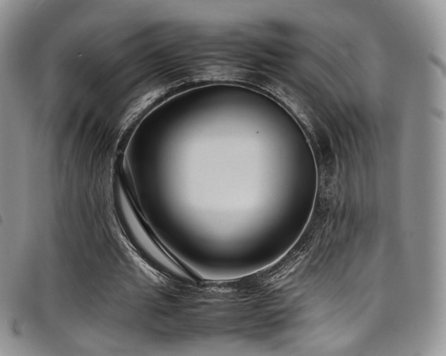 X0000098220437200804241347