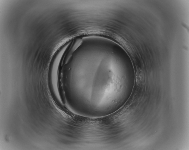 X0000098220438200804241347