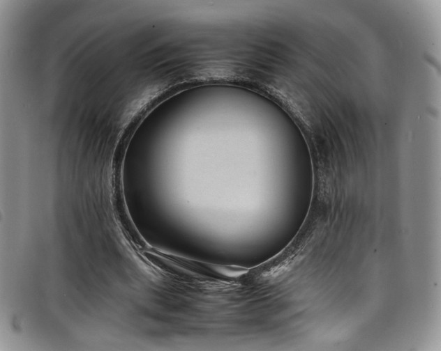 X0000098220439200804241347