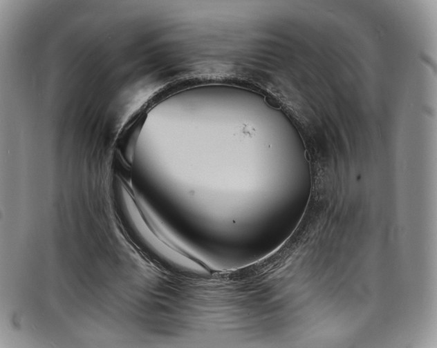 X0000098220440200804241347