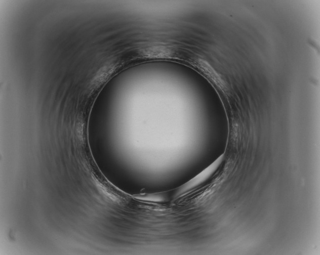 X0000098220441200804241347