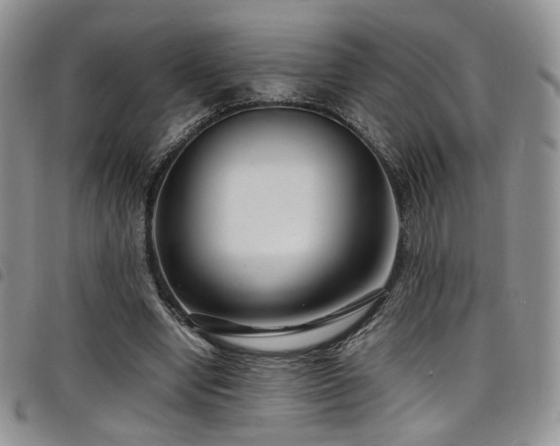 X0000098220442200804241347