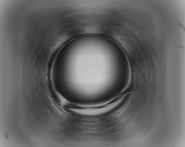 X0000098220443200804241348