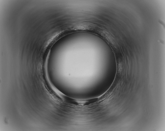 X0000098220444200804241348