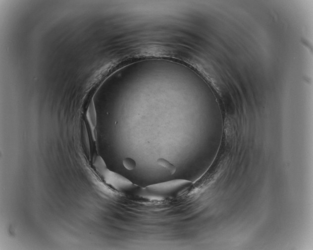 X0000098220445200804241348