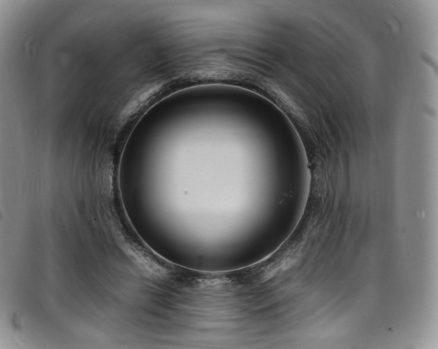 X0000098220446200804241348