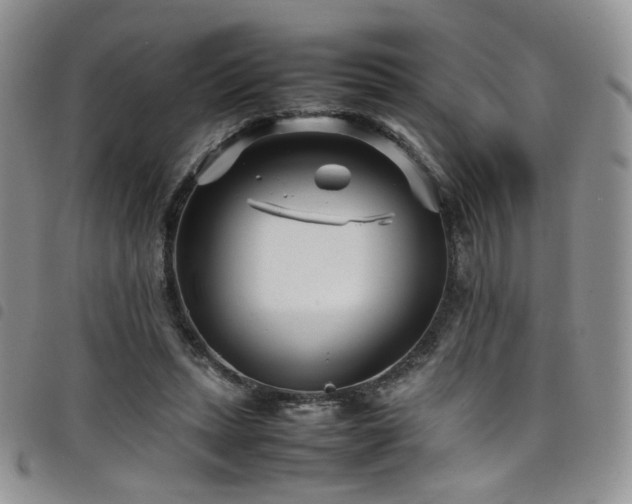 X0000098220447200804241348